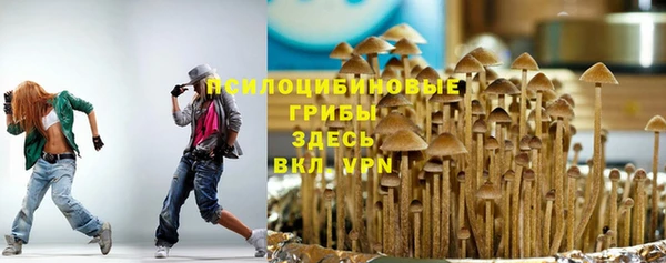 a pvp Кукмор