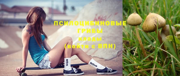 стаф Куйбышев