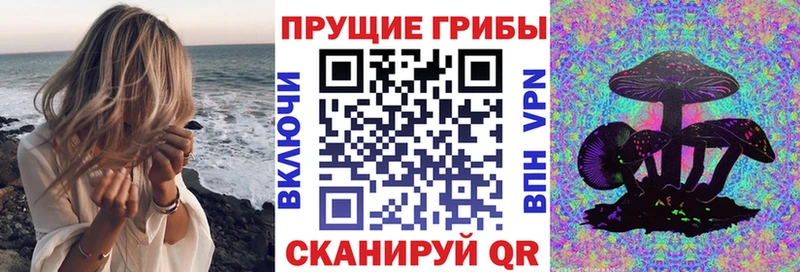 Галлюциногенные грибы мухоморы  купить наркоту  Юхнов 